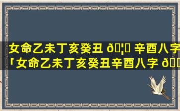 女命乙未丁亥癸丑 🦍 辛酉八字「女命乙未丁亥癸丑辛酉八字 🐦 解析」